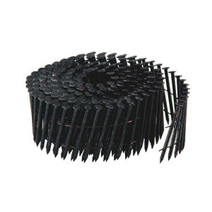 (W)C[ NB N50  250{×10 WN50001 4903768568804