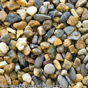 }cgY }gVREʍ 암 1(3`5mm)O 20kg 4549081523160