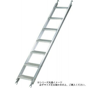 ggp^bv@Cg^bv@RT-1700 4968757600705