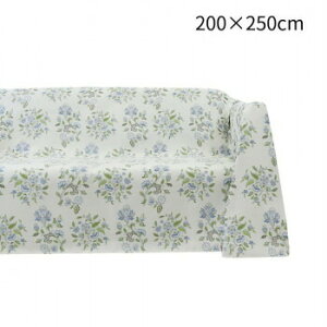 쓇DZR ~g nhz[ }`Jo[ 200×250cm HV1220S B u[ 4514633897747