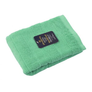 NJ[~joX^I qXCO[ ZG-60024(10)HG