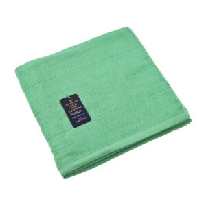 NJ[唻oX^I qXCO[ ZG-150024(10)HG