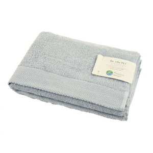 TCNRbg~joX^I u[O[ ZGRC-590BG(2)