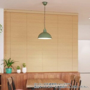 �E�b�h�u���C���h ���[�v���� 25mm�� ��60cm×����89cm �O���[�W���ETW-4512