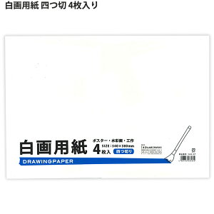 GqH p lc W540×H380mm 4 GA4-4P |X^[EʉEH DRAWINGPAPER h[COy[p[ ċx h