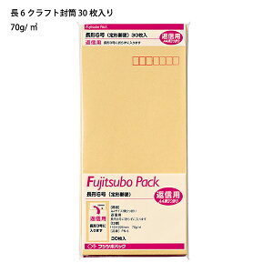 }AC 6 PN-6 Ntg 70g 30 110×220mm p `X֑Ή Îz O[w@K GRi˂ƌf pbN ޑtp Zbg Ή