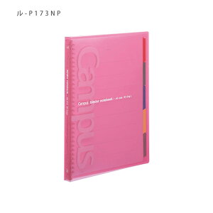 RN Campus LpX XChoC_[ X^Cv A4S 30 -P173N -B  / -P sN / -T  őe65 5 CfbNX PPJ[oV[g5 N[|Pbg1