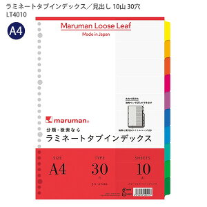 }} ~l[g^uCfbNX A4 30 10R(10) LT4010 vŒ! yŋLł! ɕ֗ȃ^Cgy[Wt