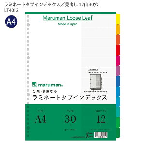 }} ~l[g^uCfbNX A4 30 12R(12) LT4012 vŒ! yŋLł! ɕ֗ȃ^Cgy[Wt