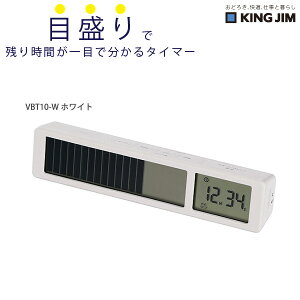 LOW KINGJIM rWAo[^C}[ VBT10 -W zCg / -BK ubN rWAo[^C}[ ԊǗ ^C}[ o^C}[ fW^^C}[ JEg_E JEgAbv s