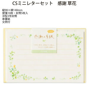 エヌビー社 CSミニレターセット 感謝 草花 1252314 縦98×横148mm 洋型3号封筒 便箋10枚 封筒5枚入 おしゃれ かわいい 上品 洋形3号封筒 奉書紙 文例付 母の日 父の日 卒業 手紙 メッセージ 記念日