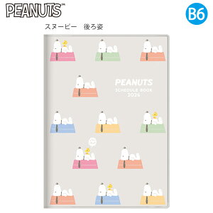 yzTX^[ 蒠  B6Jo[ Xk[s[ 2026N efBxA S2958813 / hbOnEX S2958821 ԃXPW[i2025N10`2026N12EZjjntJ[Jo[t u