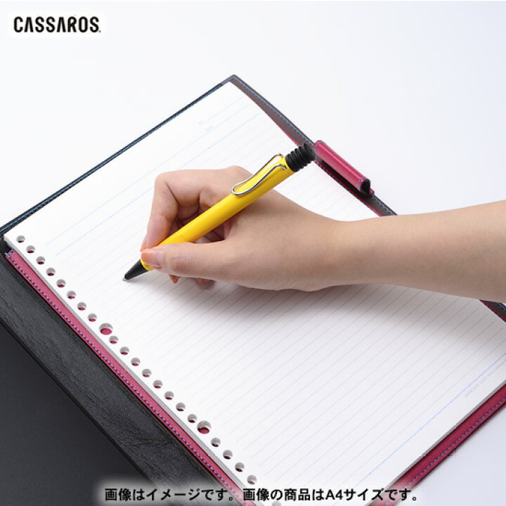 楽天市場】【名入れ 無料】 CASSAROS キャサロス ファイルノートカバー A5 メール便送料無料 : 文房具の和気文具