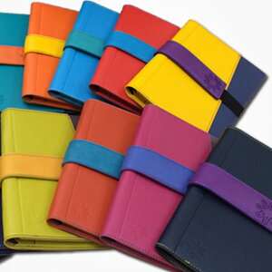 CASSAROS LTX t@CohN(t[TCY)