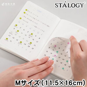 X^W[ STALOGY \Ă͂J_[V[ MTCY zΉ