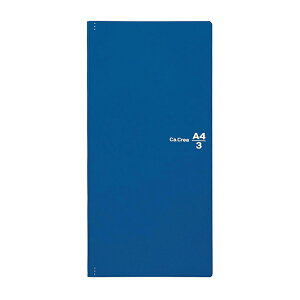 vX PLUS JNG Ca.Crea v~ANX A4 1/3TCY \tgJo[m[g