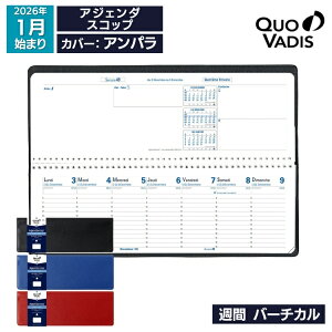 2026N 蒠 NIofBX QUOVADIS T o[`JiԎ^ejcJ 30×10cm AWF_XRbv Ap