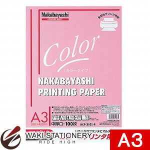 iJoV Rs[J[v^p A3 100 sN HCP-3101-P