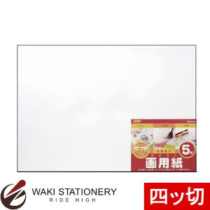 ナカバヤシ 画用紙 5枚 四ツ切 SD-カ-102