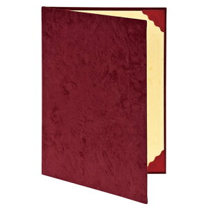 iJoV ؏t@C zNX(XG[h)\^Cv A4 GW FSS-A4-R / 10Zbg