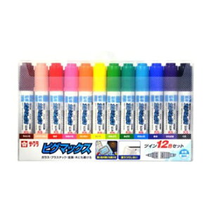 TNNpX }[J[ sO}bNXcC12FZbg ZPK-T12