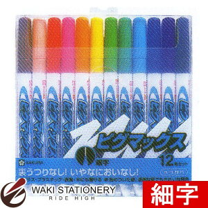 TNNpX }[J[ sO}bNX׎12FZbg ZPK-S12