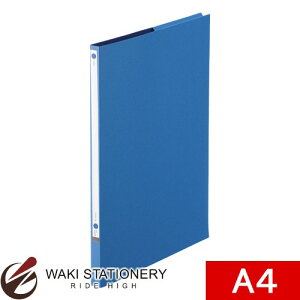 ���C�I�������� �J���[�t�@�C�� A4 �� [NO.800] 12836