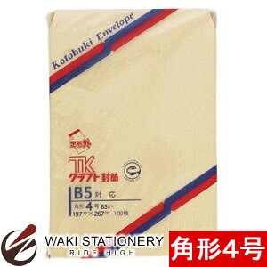 擰i Ntg p4 100 06168