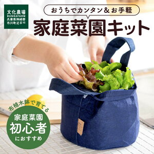 ߂Ẳƒ؉LbgiG߂̃T_3jƒ؉ Lb`K[f ؕc x_؉ x_͔| v^[͔| ĂĐHׂ |^WFK[f ċx