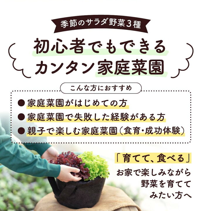 楽天市場 初めての家庭菜園キット 季節のサラダ野菜3種 家庭菜園 キッチンガーデン 野菜苗 ベランダ菜園 ベランダ栽培 プランター栽培 育てて食べる ポタジェガーデン サラダ ガーデニング 野菜苗の文化農場