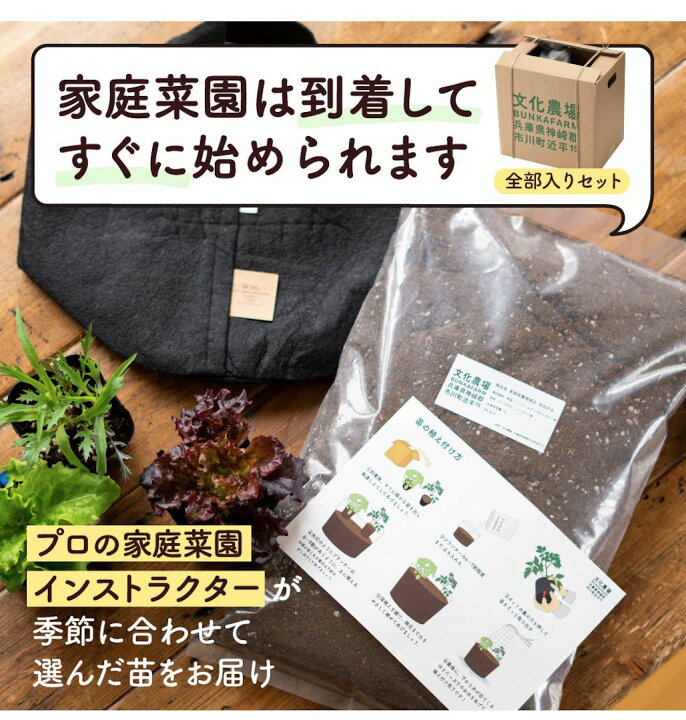 楽天市場】初めての家庭菜園キット（季節のサラダ野菜3種）家庭菜園 