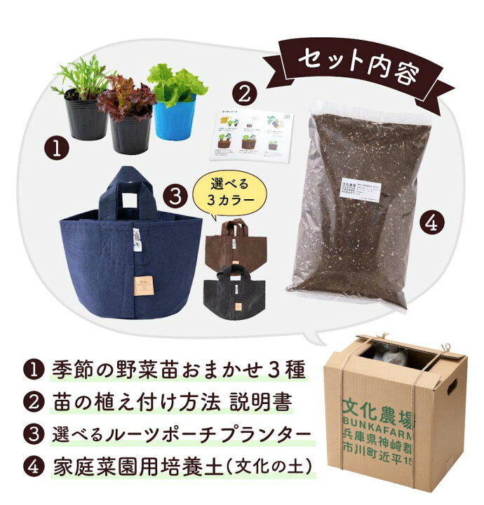 楽天市場 初めての家庭菜園キット 季節のサラダ野菜3種 家庭菜園 キッチンガーデン 野菜苗 ベランダ菜園 ベランダ栽培 プランター栽培 育てて食べる ポタジェガーデン サラダ ガーデニング 野菜苗の文化農場