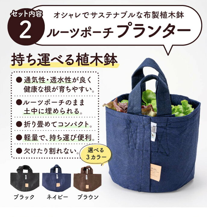 楽天市場 初めての家庭菜園キット 季節のサラダ野菜3種 家庭菜園 キッチンガーデン 野菜苗 ベランダ菜園 ベランダ栽培 プランター栽培 育てて食べる ポタジェガーデン サラダ ガーデニング 野菜苗の文化農場