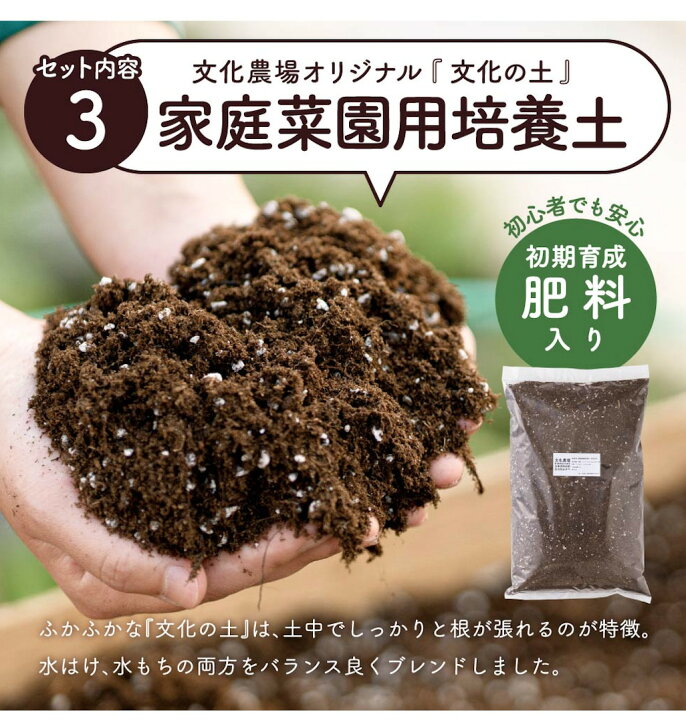 楽天市場】初めての家庭菜園キット（季節のサラダ野菜3種）家庭菜園 