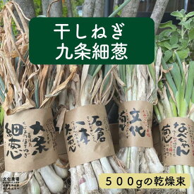 【予約】干し葱苗　九条細葱　農場直送干しねぎ,ねぎ,特産葱,葉葱,薬味,野菜苗,葱苗,冬野菜苗,秋野菜苗,九条ネギ,薬味ねぎ
