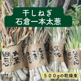 【予約】干し葱苗　石倉一本太葱　農場直送干しねぎ,ねぎ,根深葱,葉葱,鍋,野菜苗,葱苗,冬野菜苗,秋野菜苗,一本布葱