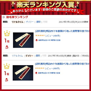 ランキング受賞20177