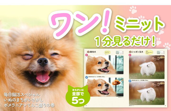 楽天市場】毎日脳活スペシャル いぬのまちがいさがし ポメラニアン 
