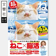 毎日脳活スペシャル 超にゃん問！ ねこのまちがいさがし お座りねこ多めの巻｜猫 ネコ にゃんこ 好き プ…