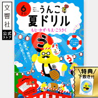 【6歳向け】 うんこ夏ドリル 6さい（文字・数・知恵・工作）｜夏休み ドリル 年長 入学準備 6才 幼児ワー…