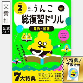 【2年生の学習はこれでかんぺき！】うんこ総復習ドリル 小学2年生｜算数 国語 小二 小2 小2 小学2年 二年生 ドリル まとめ 春休み 新学期 進級 小学校 問題集