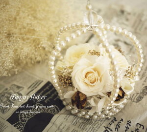 yOs[zvU[uht[  EFfBOACe uC_ j LO Mtg v[g v|[Y TvCY hV̓ y 