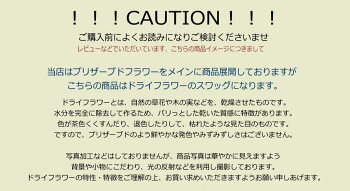 お客様への特典