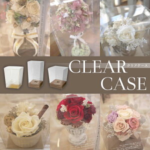 ۑpNAP[XyRCPnewlifezvU[uht[AOs[A[XAgsA[AǊ|AEGfBOAAeB[NAW