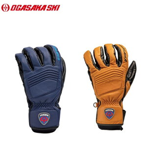 OGASAKA SKI@IKTJXL[ XL[O[u@Excel-type@5{wGA/CAEGA/NY