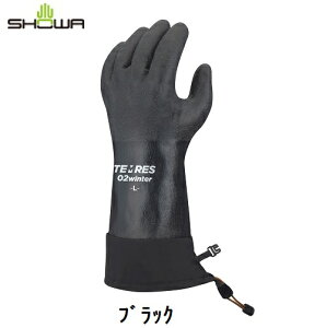 SHOWA V[@eXhEhO[uTEMRES02WIN