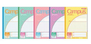 RN(Campus)LpXm[g(pr)m-30VS10-5N5mm10mm݂ܕpXeu[pXeO[pXesNpXep[vpXeCG[