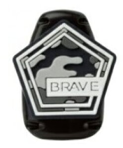 \jbNuCu (SK-4166)AieBA (SK-4173)LbYNbvɌJȂD