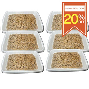 y20OFFX[p[SALEzy嗱[ 500g 6 Ⓚz Ɩp [ ibgE ȂƂ H 嗱 т̂ т̂ ͂̂Ƃ  ˂΂˂ [ т̂Ƃ ͂̂