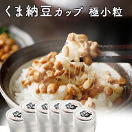 【TVで話題】【北海道産】 くま納豆 カップ 極小粒 40g×100個 北海道産大豆100%使用 納豆 ギフト なっと…